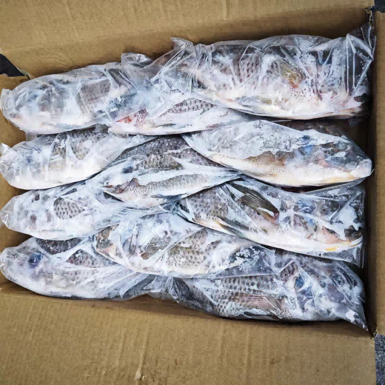 Tilapia for Retail
